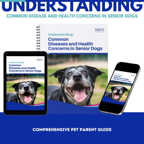 Common Diseases and Health Concerns in Senior Dogs E-Book