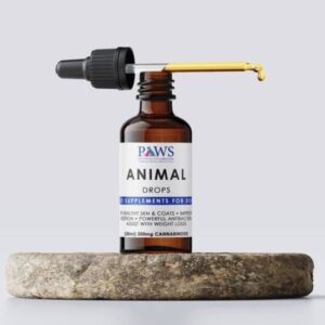 CBD Products