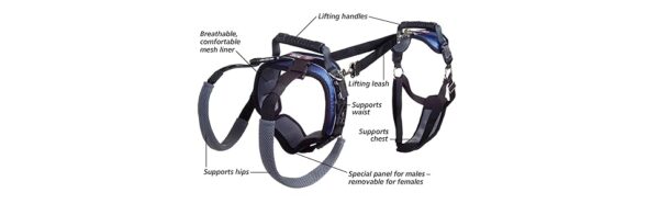 Solvit Carelift Ful Body Harness - Large - Image 2
