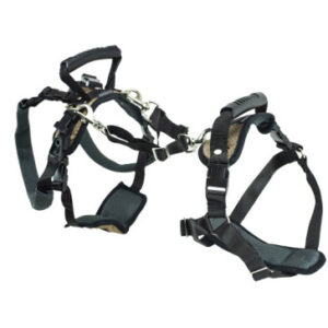 Harnesses